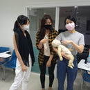 AHA CPR AED course with international certificate in Bangkok Thailand Bangkok First Aid