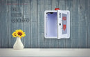 Indoor Metal AED Cabinet Easy Access with Alarm Bangkok First Aid